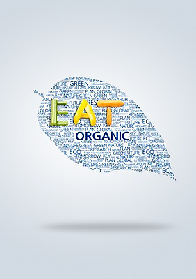 PSD 편집이미지 웰빙 영어 음식 캠페인 채소 나뭇잎 사람없음 초록색 자연보호 그린캠페인 당근 먹기 에코 유기농 샐러리 이미지편집 문자 컬러 잎 모션 자연 뿌리채소 환경 보호 파일형식