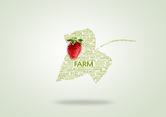 PSD 편집이미지 웰빙 음식 캠페인 과일 딸기 나뭇잎 사람없음 농장 자연보호 그린캠페인 에코 유기농 이미지편집 잎 농업 자연 환경 보호 파일형식