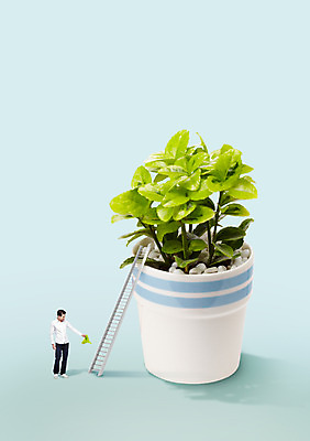 전신 PSD 서양인 외국인 식물 편집이미지 남자 화분 캠페인 사다리 한명 서기 들기 사람 20대 성인 자연보호 그린캠페인 물뿌리개 물주기 원예 남자만 남자한명만 성인남자만 청년만 청년남자만 청년남자한명만 성인한명만 성인남자한명만 성인만 이미지편집 1 모션 자연 인종 청년 취미 도구 보호 파일형식