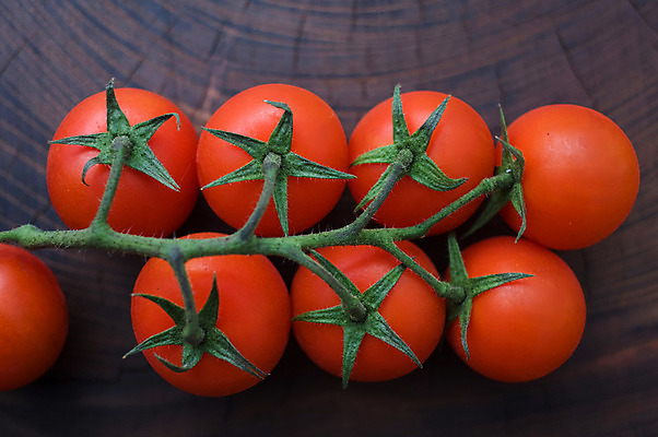 포토 JPG 음식 줄기 컬러 토마토 채소 방울토마토 사람없음 빨간색 신선 국내포토 식물 파일형식
