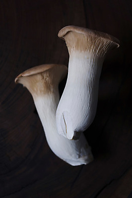 포토 JPG 음식 채소 식재료 사람없음 버섯 국내포토 파일형식