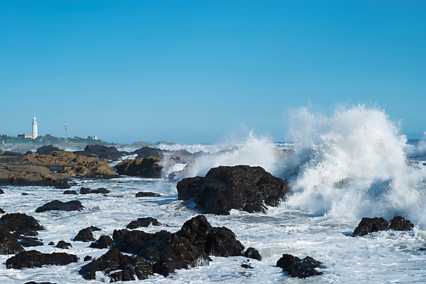 포토 JPG 주간 파도 바다 자연 등대 풍경 해변 사람없음 야외 돌_바위 바위 국내포토 자연요소 생태계 파일형식