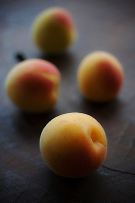 포토 JPG 열매 음식 과일 근접촬영 사람없음 아웃포커스 여러개 국내포토 식물 뷰포인트 다수 촬영기법 파일형식