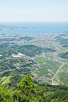 포토 JPG 주간 나무 식물 바다 자연 하늘 풍경 해변 사람없음 야외 마을 도시 해안도시 국내포토 자연요소 생태계 파일형식