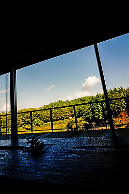 포토 JPG 주간 나무 식물 구름 실루엣 창문 난간 자연 하늘 풍경 사람없음 일본 숲 국내포토 자연요소 아시아 촬영기법 생태계 파일형식