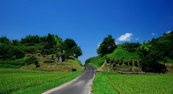 포토 JPG 주간 나무 식물 구름 도로 길 자연 하늘 풍경 초원 사람없음 야외 국내포토 자연요소 교통시설 생태계 파일형식