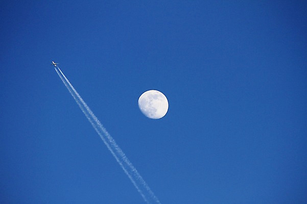 포토 JPG 주간 구름 자연현상 자연 하늘 비행기 풍경 사람없음 야외 보름달 달 비행 비행운 국내포토 자연요소 항공교통 대중교통 생태계 파일형식 구름_자연