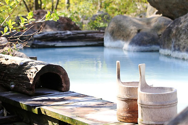 포토 JPG 주간 나무 식물 일본문화 자연 풍경 사람없음 야외 아웃포커스 일본 온천 돌_바위 바위 양동이 노천온천 국내포토 자연요소 동양문화 아시아 외국문화 촬영기법 스파 생태계 파일형식