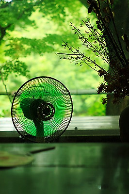 포토 JPG 주간 나무 식물 실루엣 풍경 사람없음 야외 아웃포커스 여름 부채 선풍기 평상 국내포토 자연요소 계절 촬영기법 가전제품 파일형식