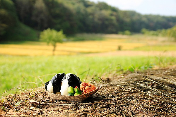 포토 JPG 주간 나무 식물 접시 음식 채소 밥 오이 초원 사람없음 야외 아웃포커스 볏짚 김 주먹밥 오니기리 일본음식 국내포토 자연요소 식기 촬영기법 해조류 짚 파일형식