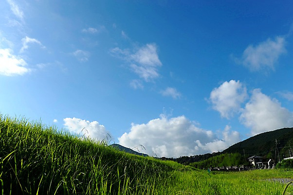 포토 JPG 주간 식물 구름 자연 하늘 산 주택 풍경 초원 사람없음 야외 맑음 풀 국내포토 자연요소 날씨 건물 생태계 파일형식