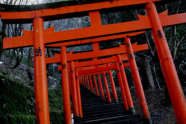 포토 JPG 주간 나무 식물 전통 해외풍경 해외 고건축 일본문화 풍경 사람없음 야외 문 계단 일본 원근감 사찰 사원 일본건축 토리이 신사_일본건축 국내포토 자연요소 동양문화 건축물 아시아 뷰포인트 외국문화 비즈니스 종교건축 동양건축 신사_건축물 파일형식