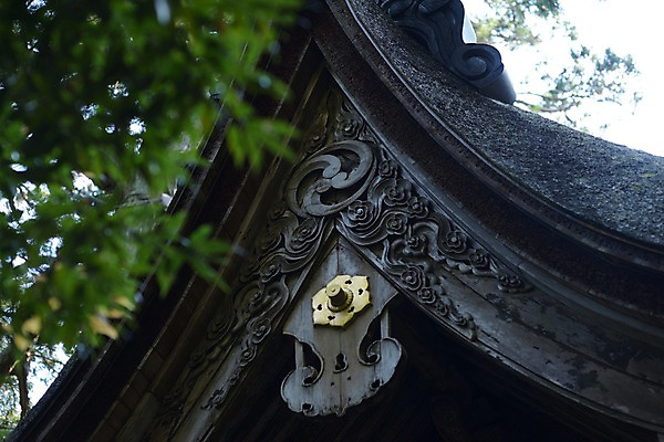 포토 JPG 주간 식물 전통 해외풍경 해외 문양 건축물 건축 고건축 일본문화 지붕 나뭇잎 풍경 사람없음 야외 아웃포커스 일본 사찰 사원 일본전통 일본건축 국내포토 자연요소 동양문화 아시아 외국문화 잎 비즈니스 종교건축 촬영기법 동양건축 파일형식