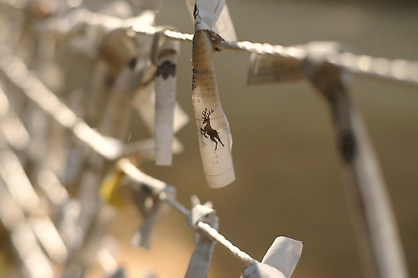 포토 JPG 전통 해외풍경 해외 종이 줄 일본문화 매달리기 풍경 근접촬영 사람없음 아웃포커스 일본 사찰 사원 일본전통 소원 오미쿠지 국내포토 동양문화 아시아 뷰포인트 외국문화 비즈니스 종교건축 모션 촬영기법 파일형식