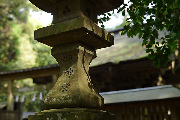 포토 JPG 주간 식물 문자 전통 건축물 건축 조각 고건축 나뭇잎 석조 풍경 사람없음 야외 건물 아웃포커스 탑 일본 한자 사찰 사원 석탑 조각_조소 국내포토 자연요소 아시아 잎 비즈니스 종교건축 촬영기법 조소 파일형식