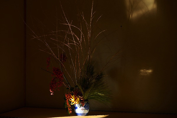 포토 JPG 식물 열매 사람없음 장식 꽃병 나뭇가지 풀 국내포토 나무 꽃 파일형식