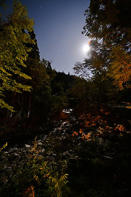 포토 JPG 나무 식물 자연 풍경 사람없음 야외 계곡 달 돌_바위 바위 숲 국내포토 자연요소 생태계 파일형식