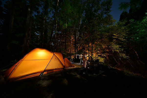 포토 JPG 나무 식물 여행 조명 텐트 사람없음 야외 라이프 빛 어둠 캠핑 숲 국내포토 레저 캠핑도구 생활 파일형식