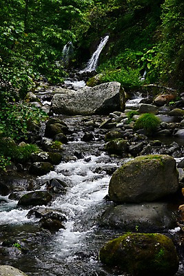 포토 JPG 주간 식물 자연 이끼 풍경 사람없음 야외 물 계곡 폭포 흐름 돌_바위 바위 숲 국내포토 자연요소 컨셉 생태계 파일형식