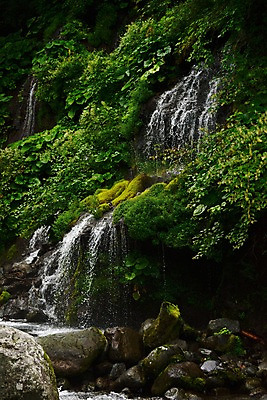 포토 JPG 주간 식물 자연 이끼 풍경 사람없음 야외 물 계곡 폭포 흐름 돌_바위 바위 숲 국내포토 자연요소 컨셉 생태계 파일형식