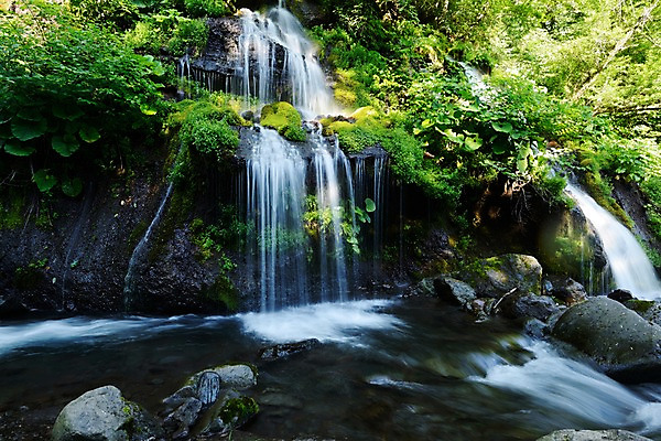 포토 JPG 주간 나무 식물 자연 이끼 풍경 사람없음 야외 계곡 폭포 흐름 돌_바위 바위 숲 국내포토 자연요소 컨셉 생태계 파일형식