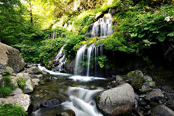 포토 JPG 주간 나무 식물 자연 이끼 풍경 사람없음 야외 계곡 폭포 흐름 돌_바위 바위 숲 국내포토 자연요소 컨셉 생태계 파일형식
