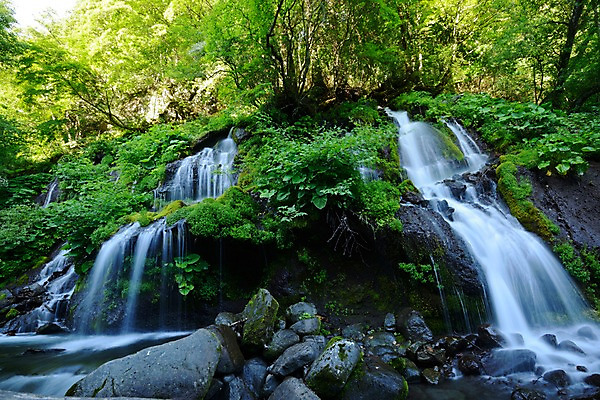 포토 JPG 주간 나무 식물 자연 이끼 풍경 사람없음 야외 물 계곡 폭포 흐름 돌_바위 바위 숲 국내포토 자연요소 컨셉 생태계 파일형식