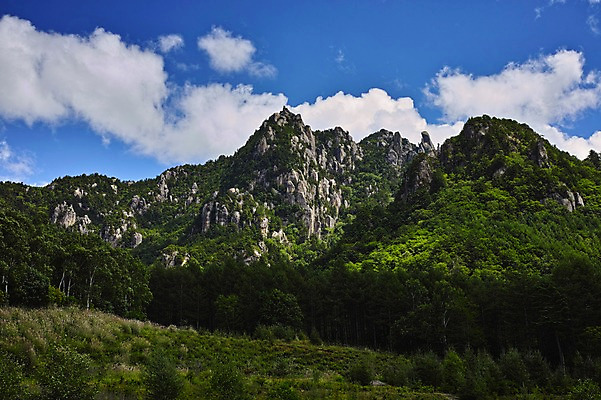 포토 JPG 주간 나무 식물 구름 자연 하늘 산 풍경 사람없음 야외 맑음 돌_바위 바위 숲 국내포토 자연요소 날씨 생태계 파일형식