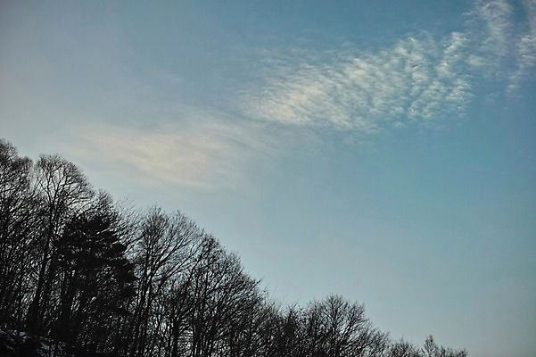 포토 JPG 주간 나무 식물 구름 자연 하늘 풍경 사람없음 야외 국내포토 자연요소 생태계 파일형식