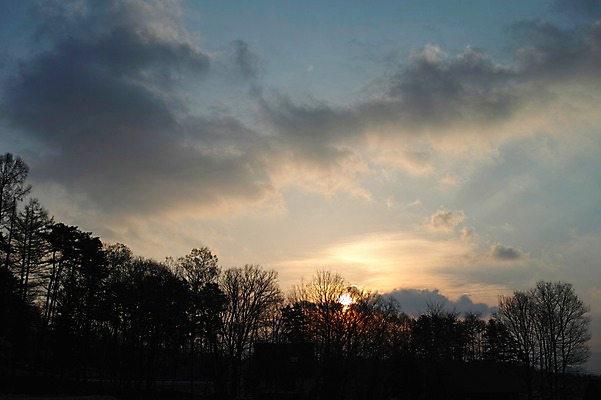 포토 JPG 나무 식물 구름 실루엣 자연현상 자연 하늘 풍경 사람없음 야외 태양 노을 일몰 국내포토 자연요소 촬영기법 생태계 파일형식