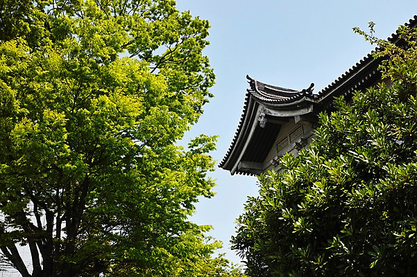 포토 JPG 주간 나무 식물 해외풍경 해외 건축물 고건축 풍경 사람없음 야외 일본 일본건축 국내포토 자연요소 건축 아시아 동양건축 파일형식