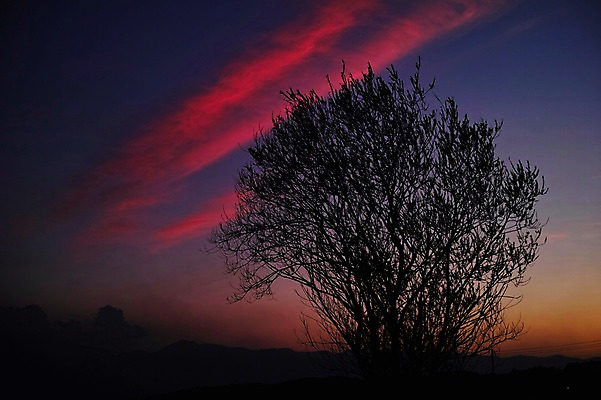 포토 JPG 나무 식물 구름 실루엣 자연현상 자연 하늘 풍경 사람없음 야외 노을 어둠 일몰 국내포토 자연요소 촬영기법 생태계 파일형식