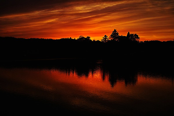 포토 JPG 나무 식물 구름 실루엣 호수 자연현상 자연 하늘 물그림자 풍경 사람없음 야외 노을 일몰 국내포토 자연요소 촬영기법 그림자 생태계 파일형식
