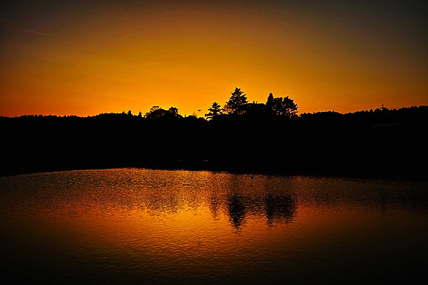 포토 JPG 나무 식물 실루엣 호수 자연현상 자연 물그림자 풍경 사람없음 야외 노을 일몰 국내포토 자연요소 촬영기법 그림자 생태계 파일형식