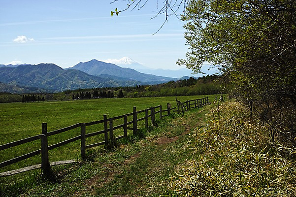 포토 JPG 주간 나무 식물 구름 자연 하늘 풍경 초원 사람없음 야외 울타리 목장 국내포토 자연요소 담장 생태계 파일형식