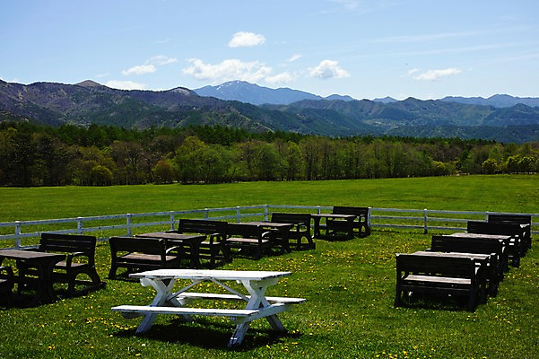 포토 JPG 주간 나무 식물 구름 공원 벤치 의자 자연 탁자 하늘 산 풍경 사람없음 야외 숲 국내포토 자연요소 공공시설 가구 생태계 파일형식