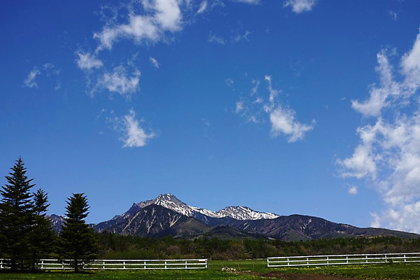 포토 JPG 주간 나무 식물 구름 자연 하늘 산 풍경 사람없음 야외 울타리 목장 눈 만년설 국내포토 자연요소 날씨 담장 생태계 파일형식