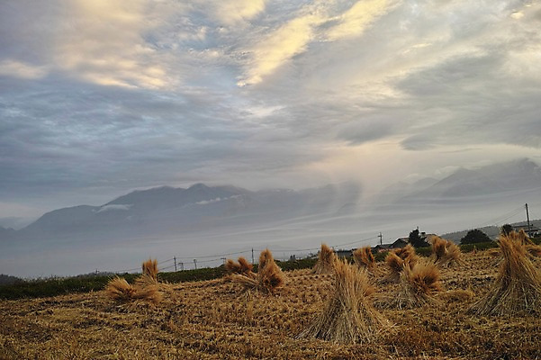 포토 JPG 주간 구름 자연 하늘 산 논 풍경 사람없음 야외 농경지 농촌 볏짚 볏집 국내포토 자연요소 농업 농장 시골 짚 생태계 파일형식