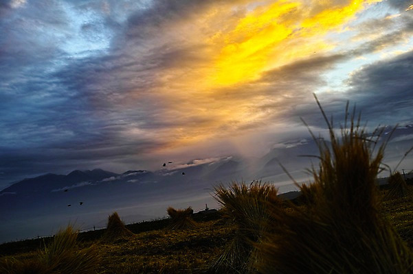 포토 JPG 구름 자연현상 자연 하늘 산 논 풍경 사람없음 야외 농경지 노을 일몰 풀 볏짚 국내포토 자연요소 식물 농업 농장 짚 생태계 파일형식
