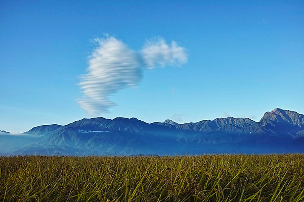 포토 JPG 주간 식물 구름 자연 하늘 산 풍경 초원 사람없음 야외 맑음 풀 국내포토 자연요소 날씨 생태계 파일형식