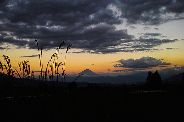 포토 JPG 식물 구름 실루엣 자연현상 자연 하늘 산 갈대 풍경 사람없음 야외 노을 일몰 국내포토 자연요소 촬영기법 생태계 파일형식