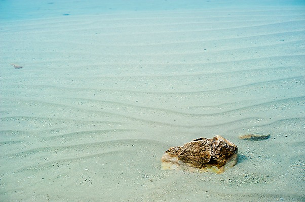 포토 JPG 주간 모래 바다 백그라운드 무늬 자연 풍경 해변 사람없음 야외 모래사장 돌_바위 조약돌 물결무늬 국내포토 자연요소 물결 생태계 파일형식