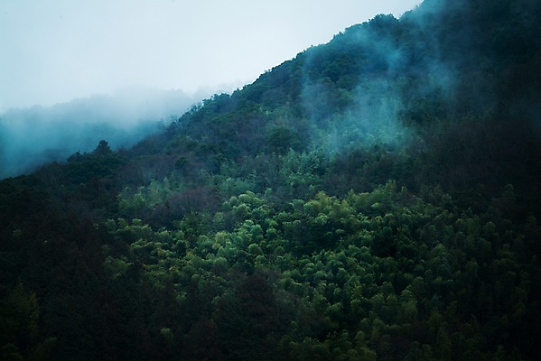 포토 JPG 주간 나무 식물 구름 자연 산 풍경 사람없음 야외 안개 숲 국내포토 자연요소 날씨 생태계 파일형식