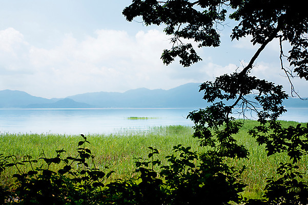 포토 JPG 주간 나무 식물 구름 바다 섬 자연 하늘 풍경 사람없음 야외 국내포토 자연요소 생태계 파일형식