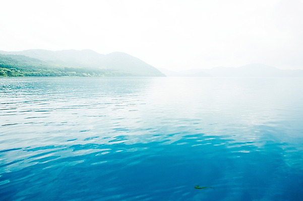 포토 JPG 주간 동물 바다 섬 자연 어류 풍경 사람없음 야외 국내포토 자연요소 수중동물 생태계 파일형식
