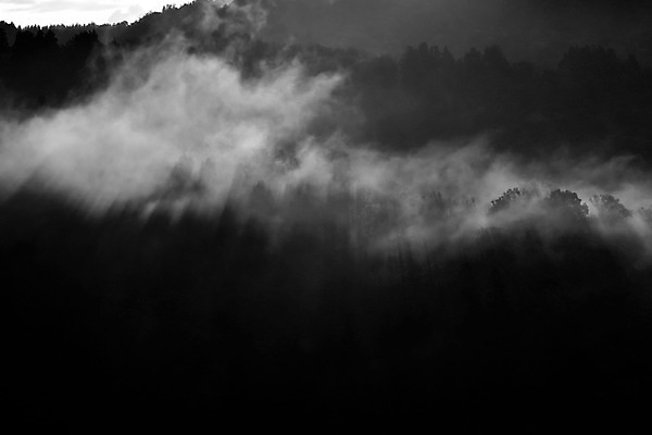 포토 JPG 나무 식물 구름 자연 산 흑백 풍경 사람없음 야외 안개 숲 국내포토 자연요소 날씨 촬영기법 생태계 파일형식