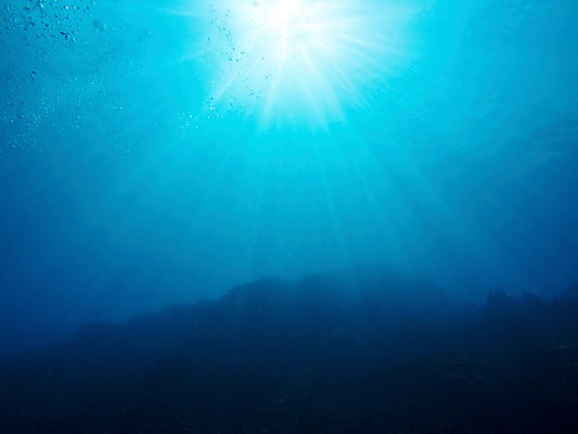 포토 JPG 바다 자연 사람없음 야외 빛 햇빛 바닷속 수중 수중사진 국내포토 태양 생태계 파일형식