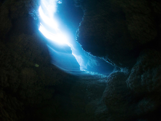 포토 JPG 바다 자연 사람없음 야외 빛 바닷속 수중 돌_바위 바위 동굴 수중사진 국내포토 생태계 파일형식