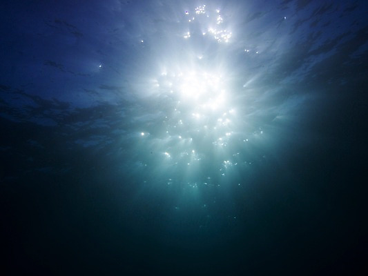 포토 JPG 바다 자연 풍경 사람없음 야외 빛 햇빛 바닷속 수중 수중사진 국내포토 태양 생태계 파일형식