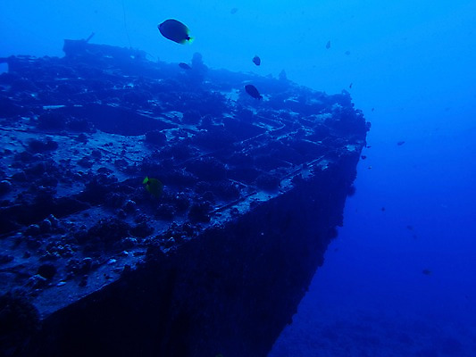 포토 JPG 동물 바다 자연 어류 풍경 사람없음 야외 바닷속 수중 선박 수중사진 국내포토 수상교통 수중동물 생태계 파일형식
